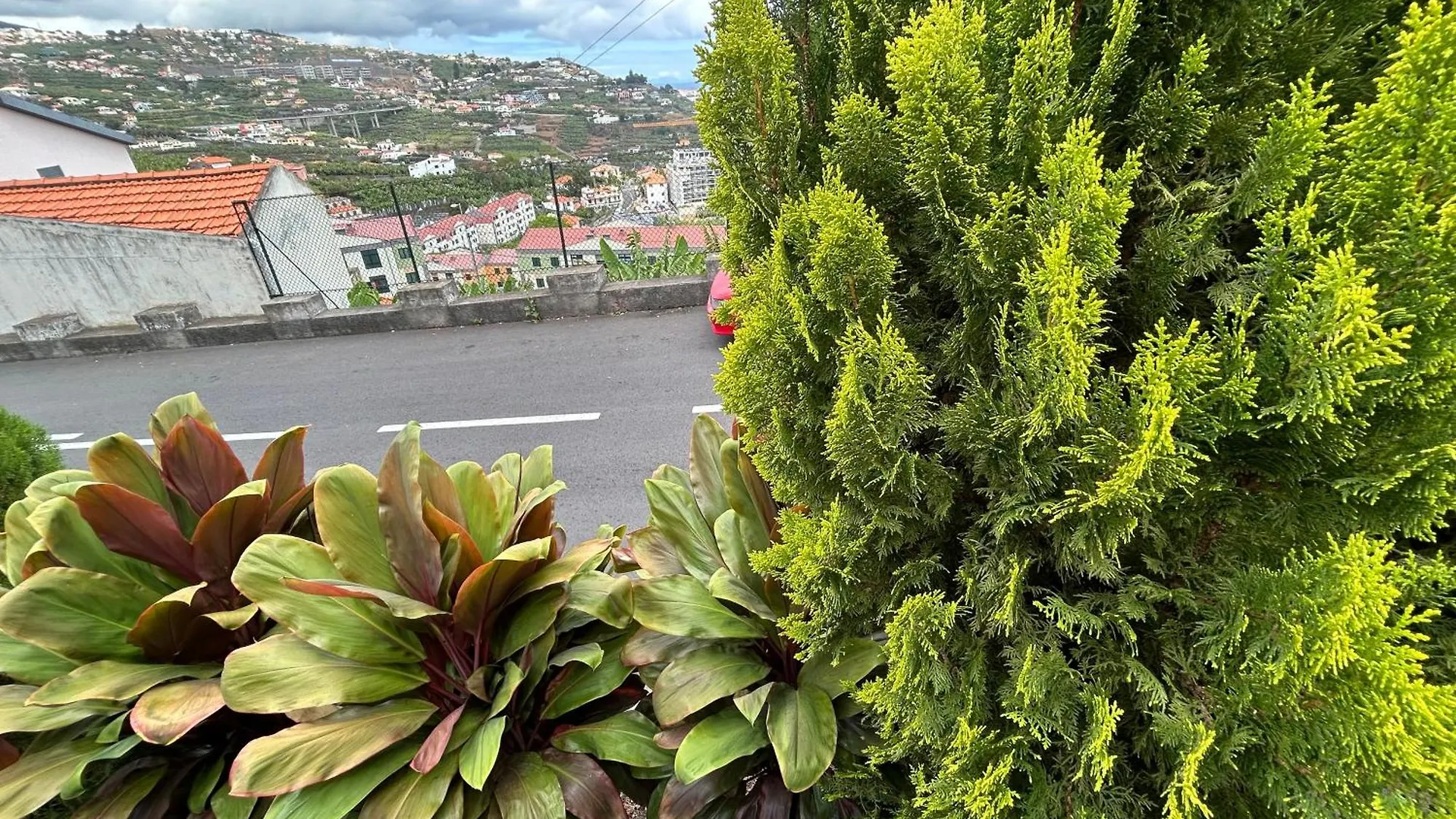 Vila Pico Da Torre Apartment Camara de Lobos