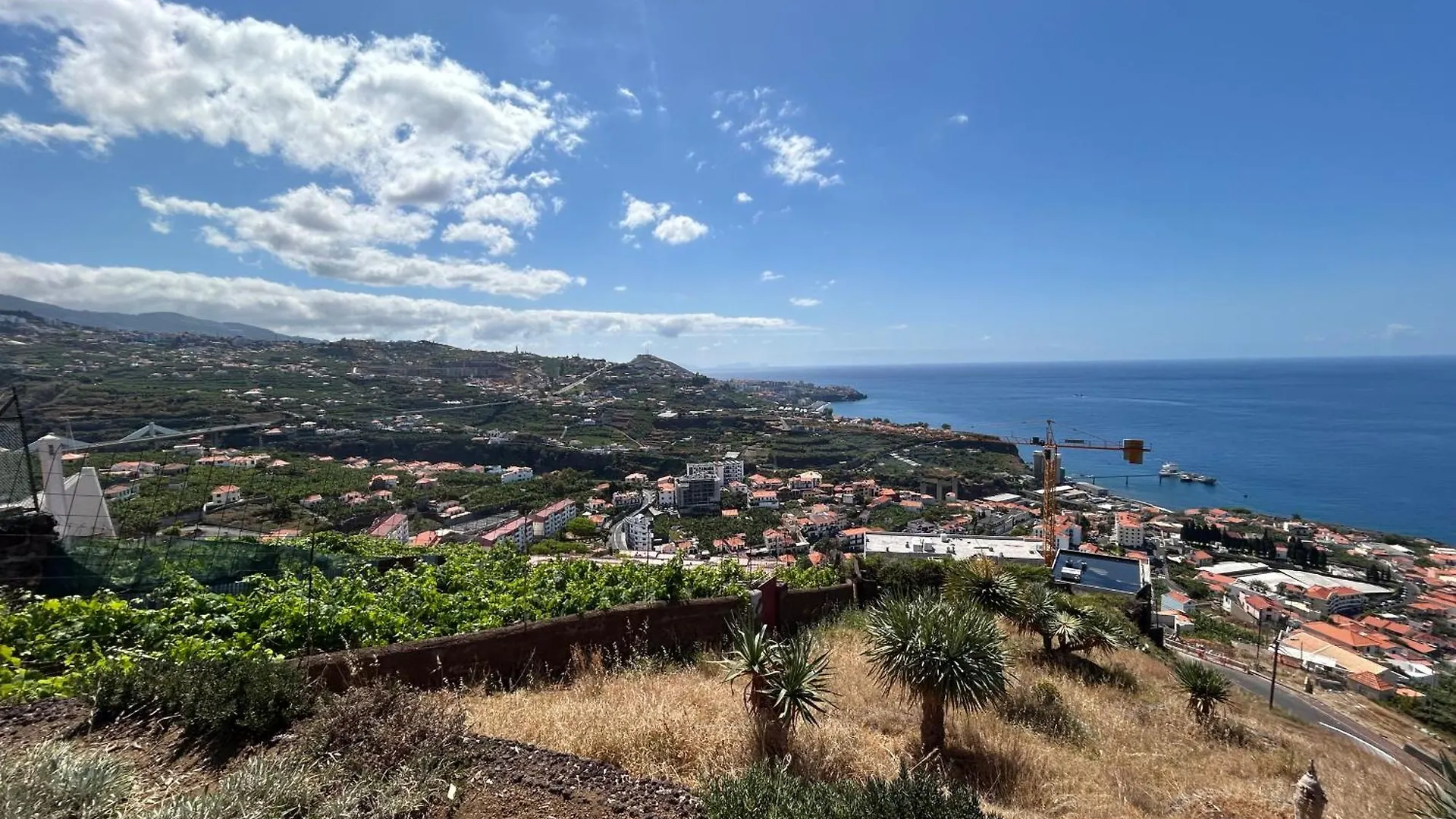 Vila Pico Da Torre Apartment Camara de Lobos